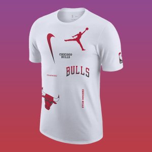 Nike Chicago Bulls Courtside Statement Edition (Men's Jordan Max90 NBA T-Shirt)