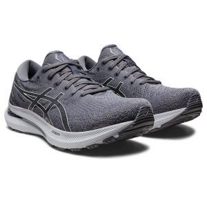Asics Gel-Kayano 29